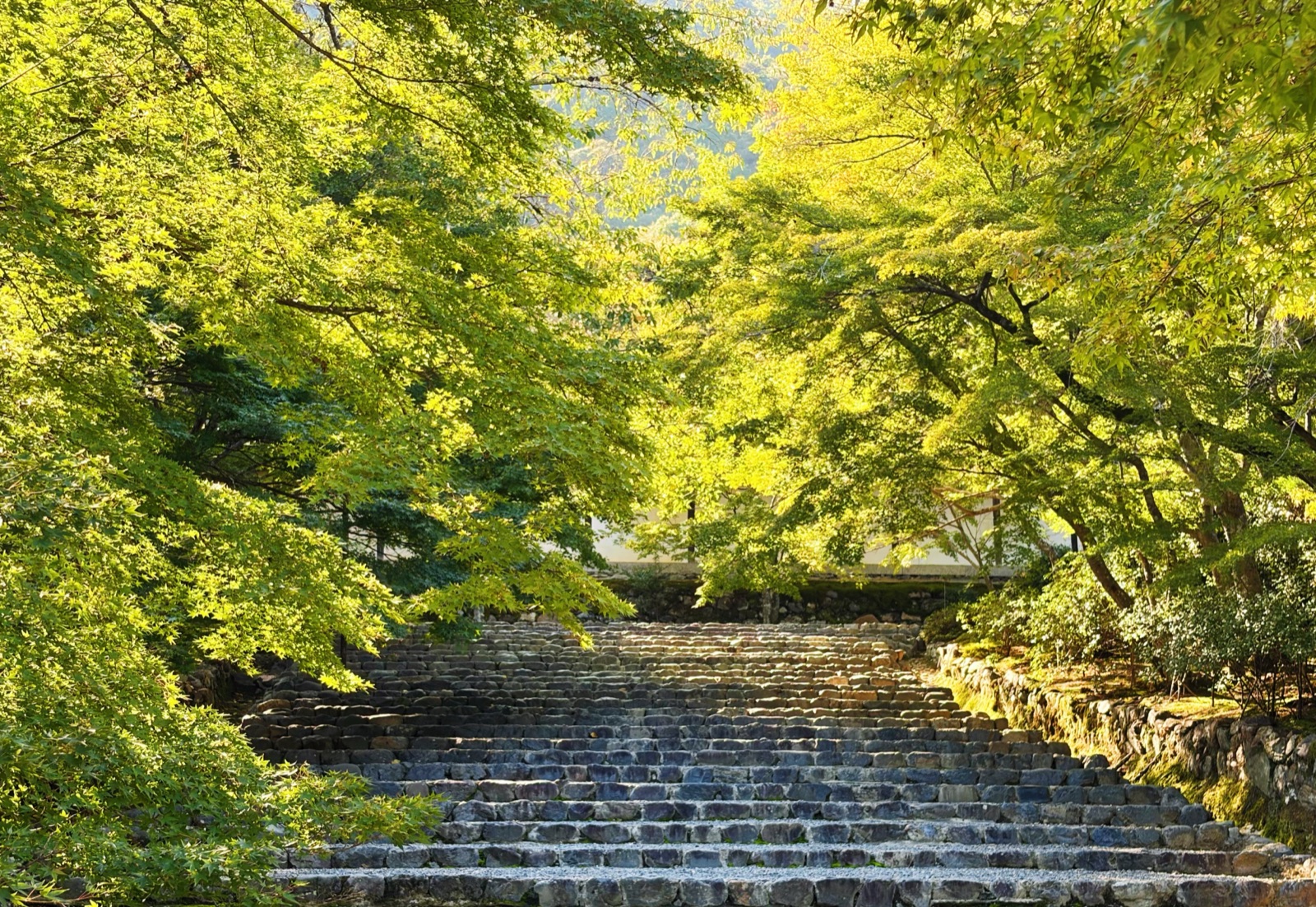 Nison-in